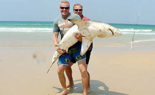 Mick De Rooy holds up the 100kg bronze whaler shark he caught while beach fishing on Fraser Island. He later released the big bopper back into the surf. Mick De Rooy holds up the 100kg bronze whaler shark he caught while beach fishing on Fraser Island. He later released the big bopper back into the surf.